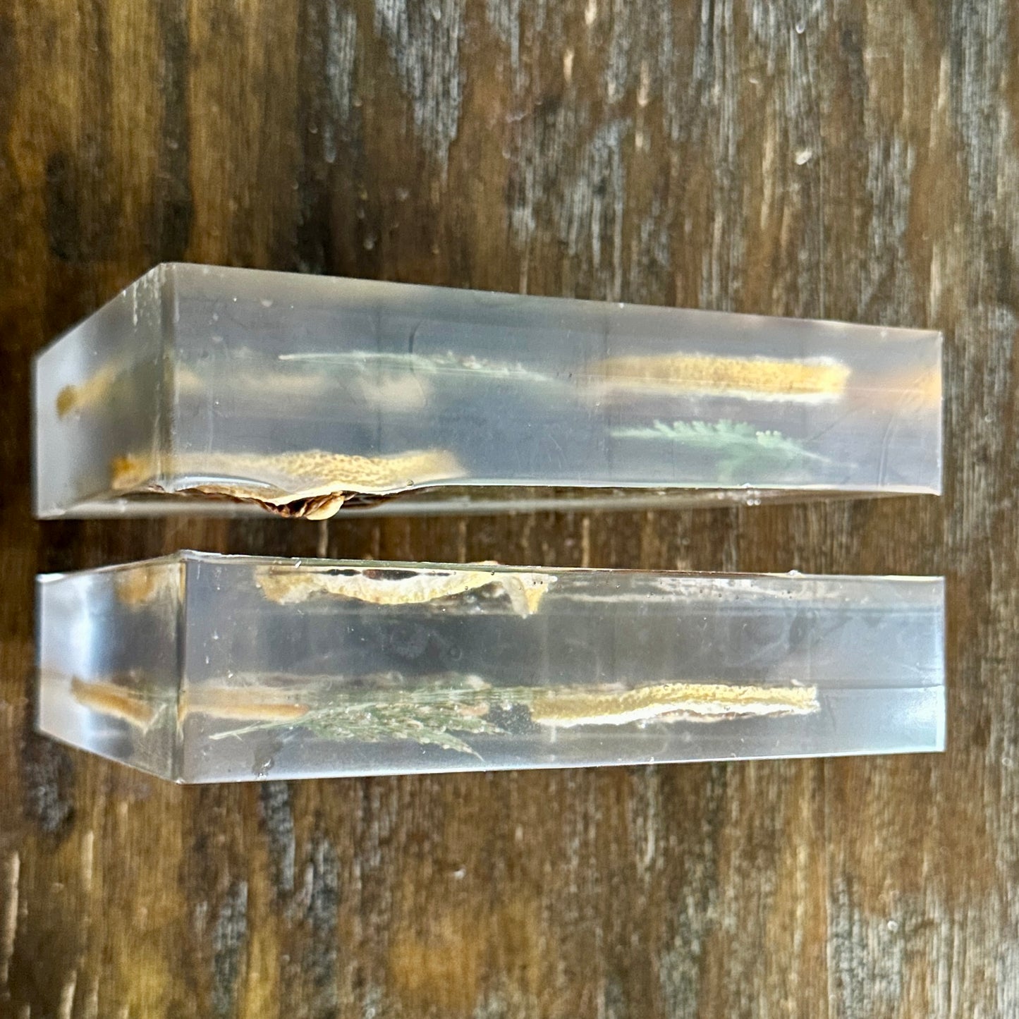 Orange slice resin bookends