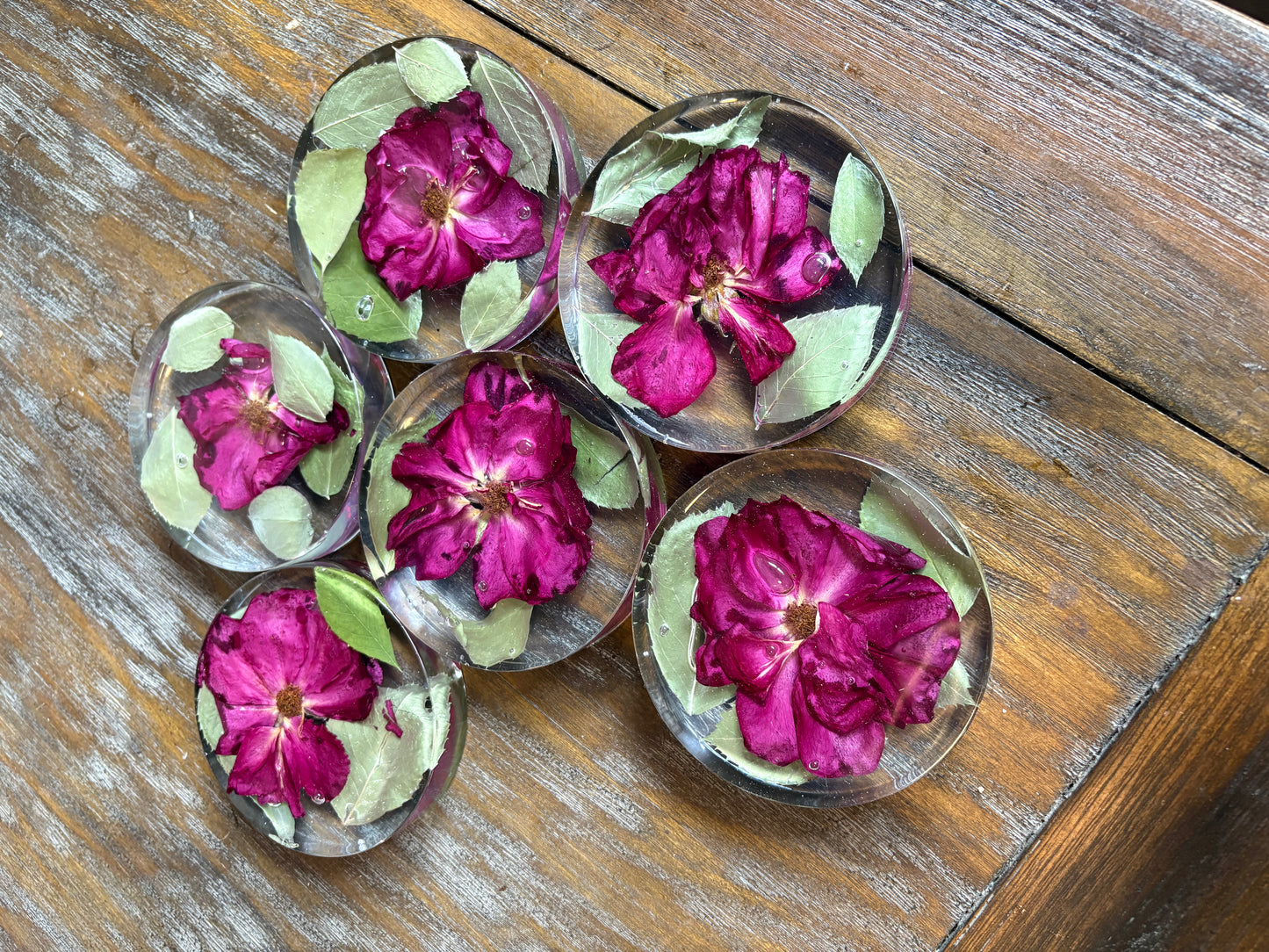 Coaster (thick) / Paperweight #1