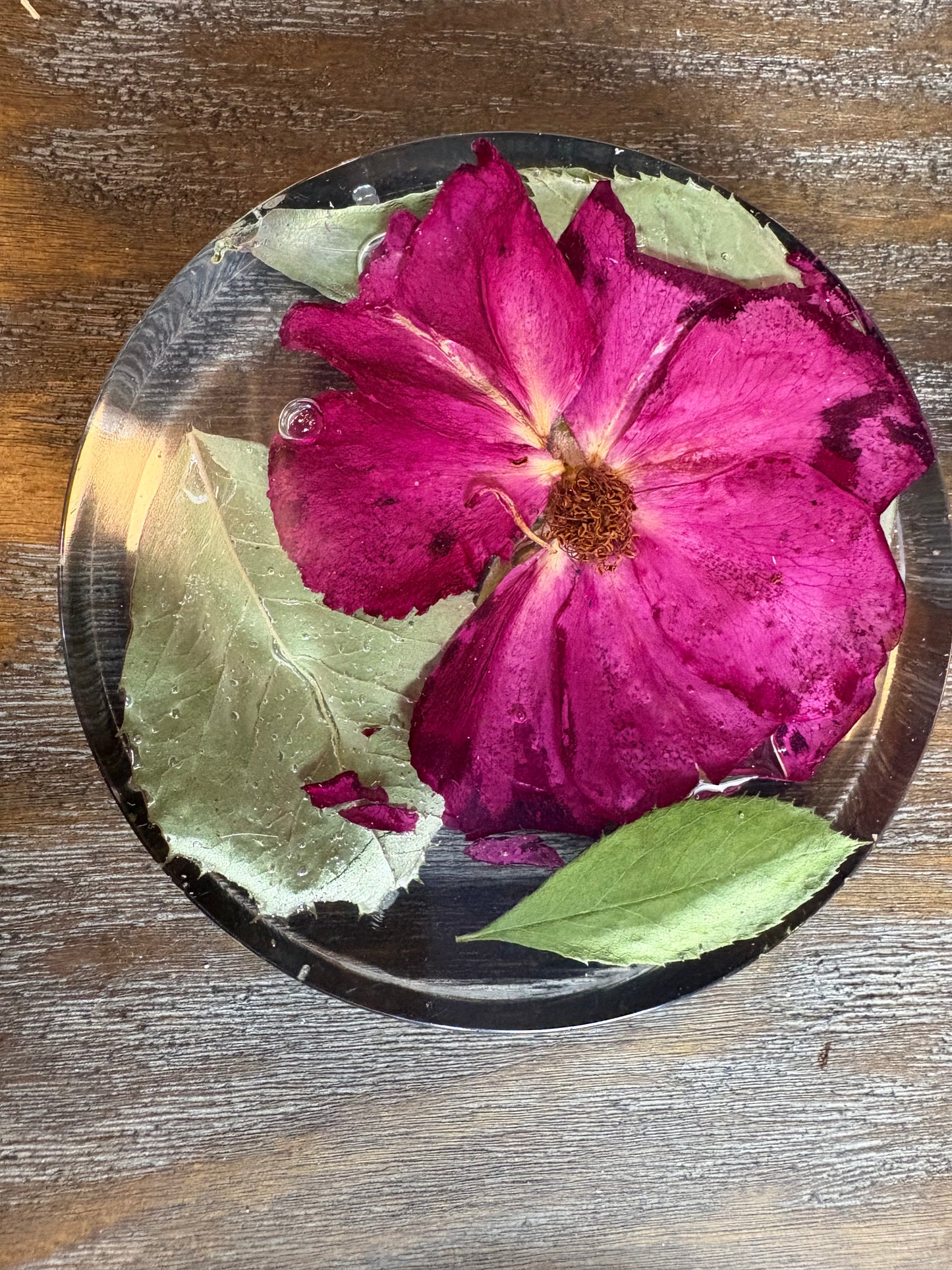 Coaster (thick) / Paperweight #1