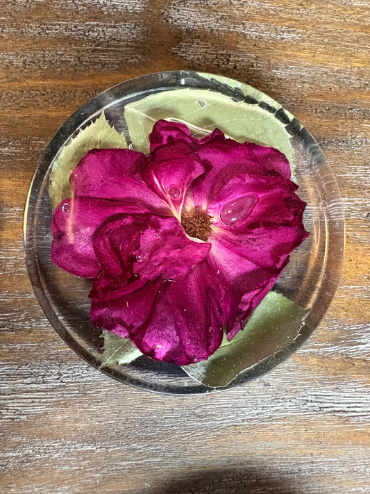 Coaster (thick) / Paperweight #2