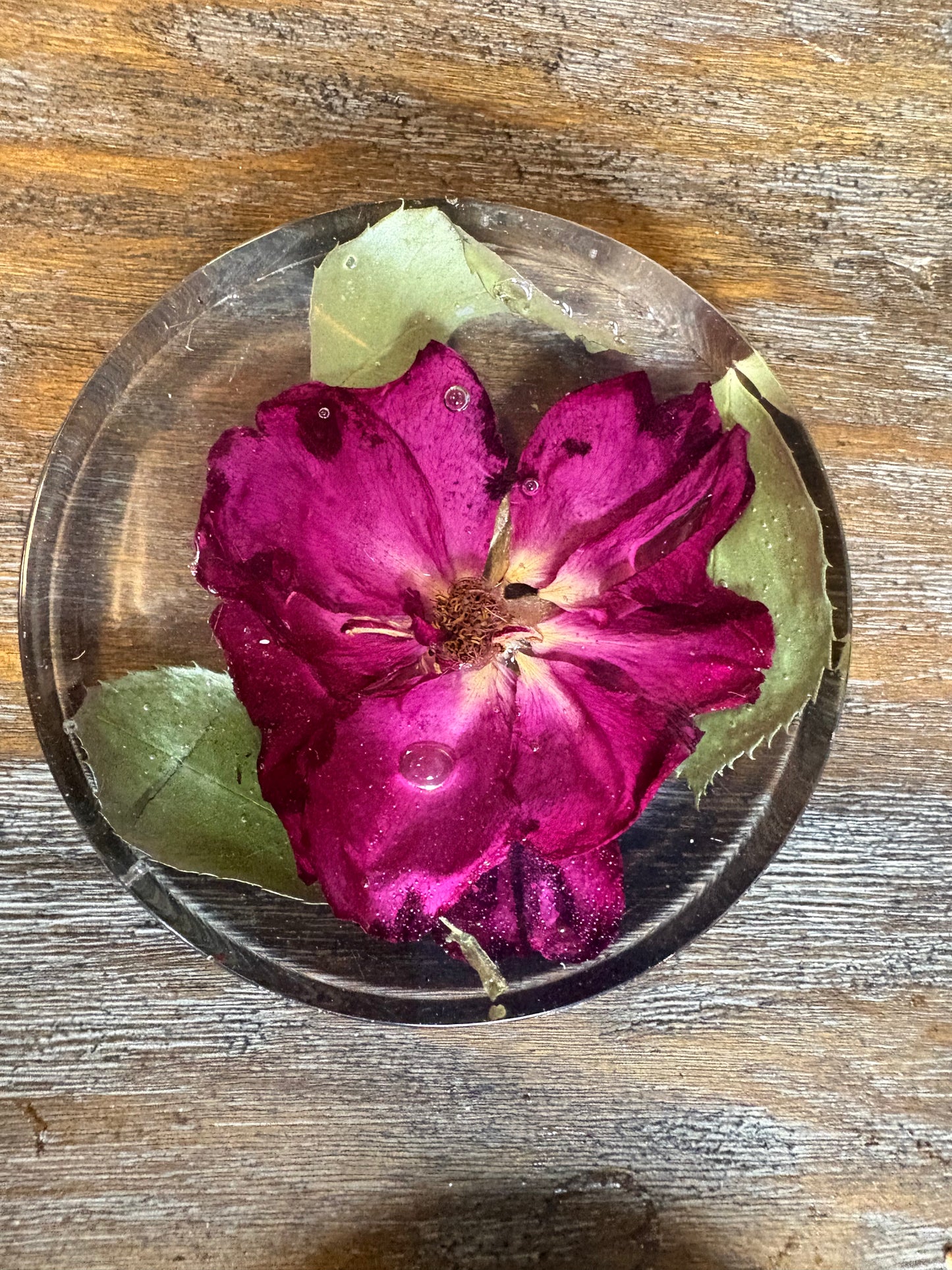 Coaster (thick) / Paperweight #3