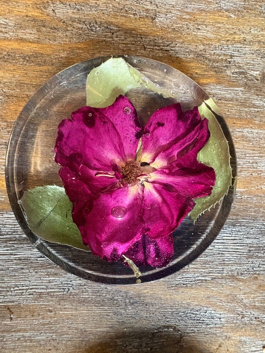 Coaster (thick) / Paperweight #3