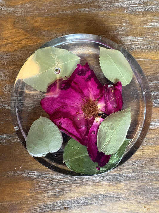 Coaster (thick) / Paperweight #4