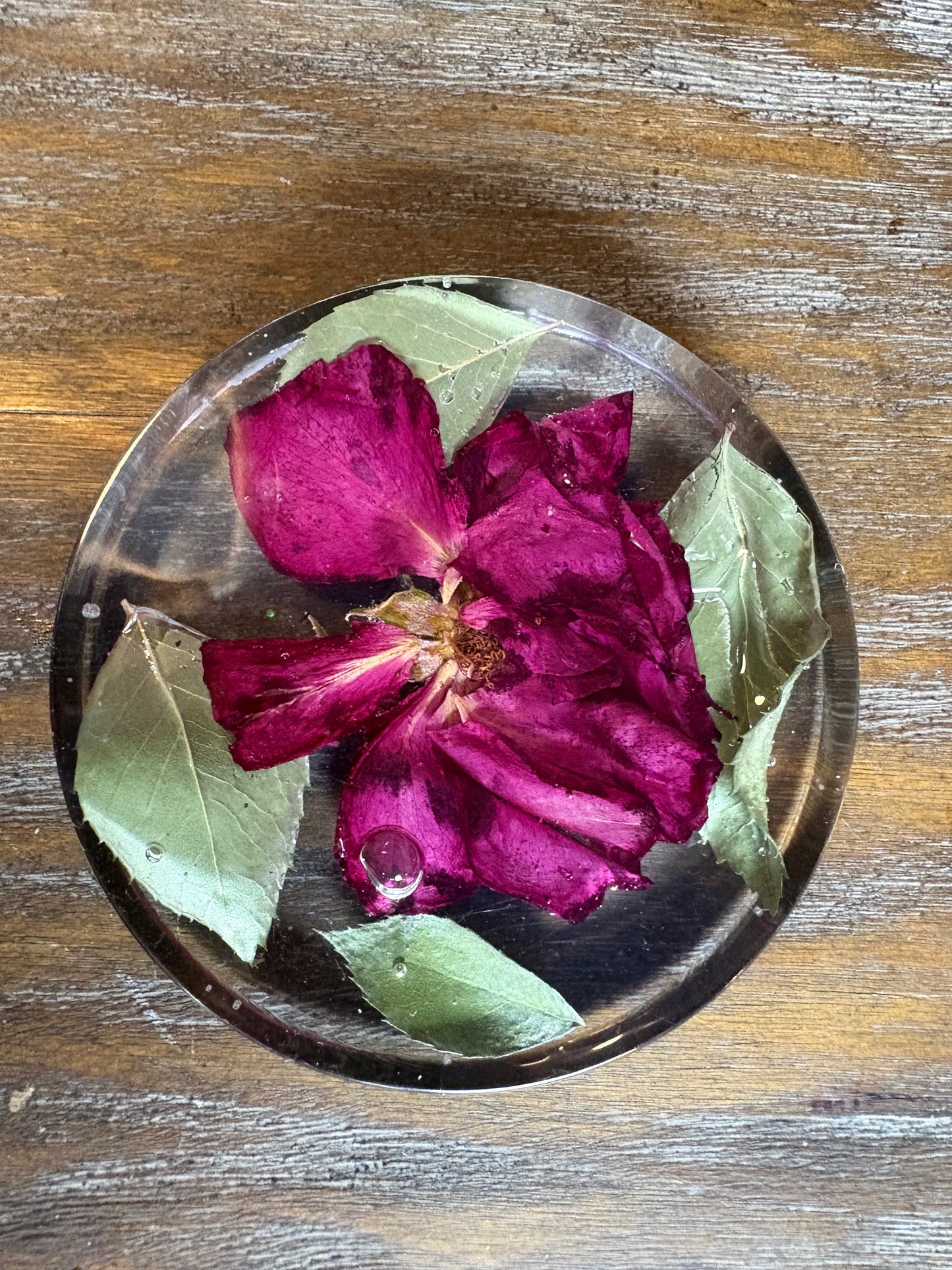 Coaster (thick) / Paperweight #5