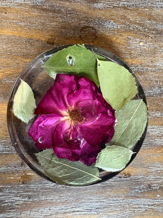 Coaster (thick) / Paperweight #6