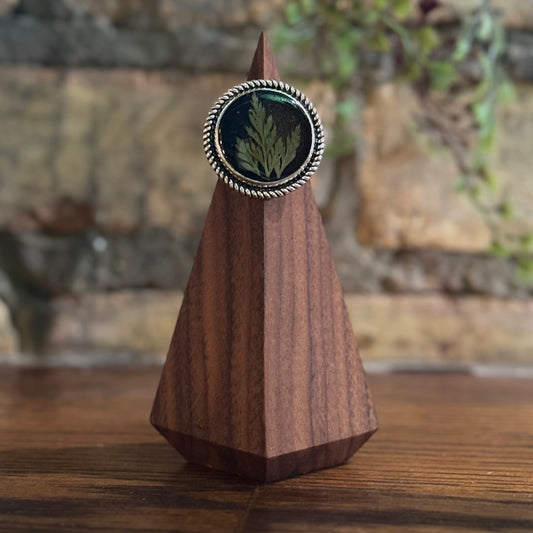 Dark Elf Ring 1