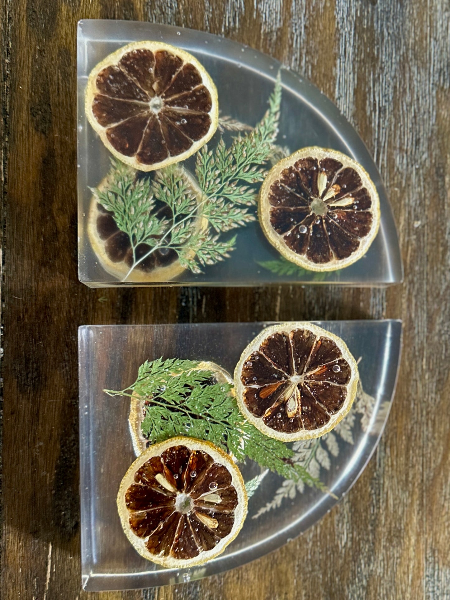 Orange slice resin bookends