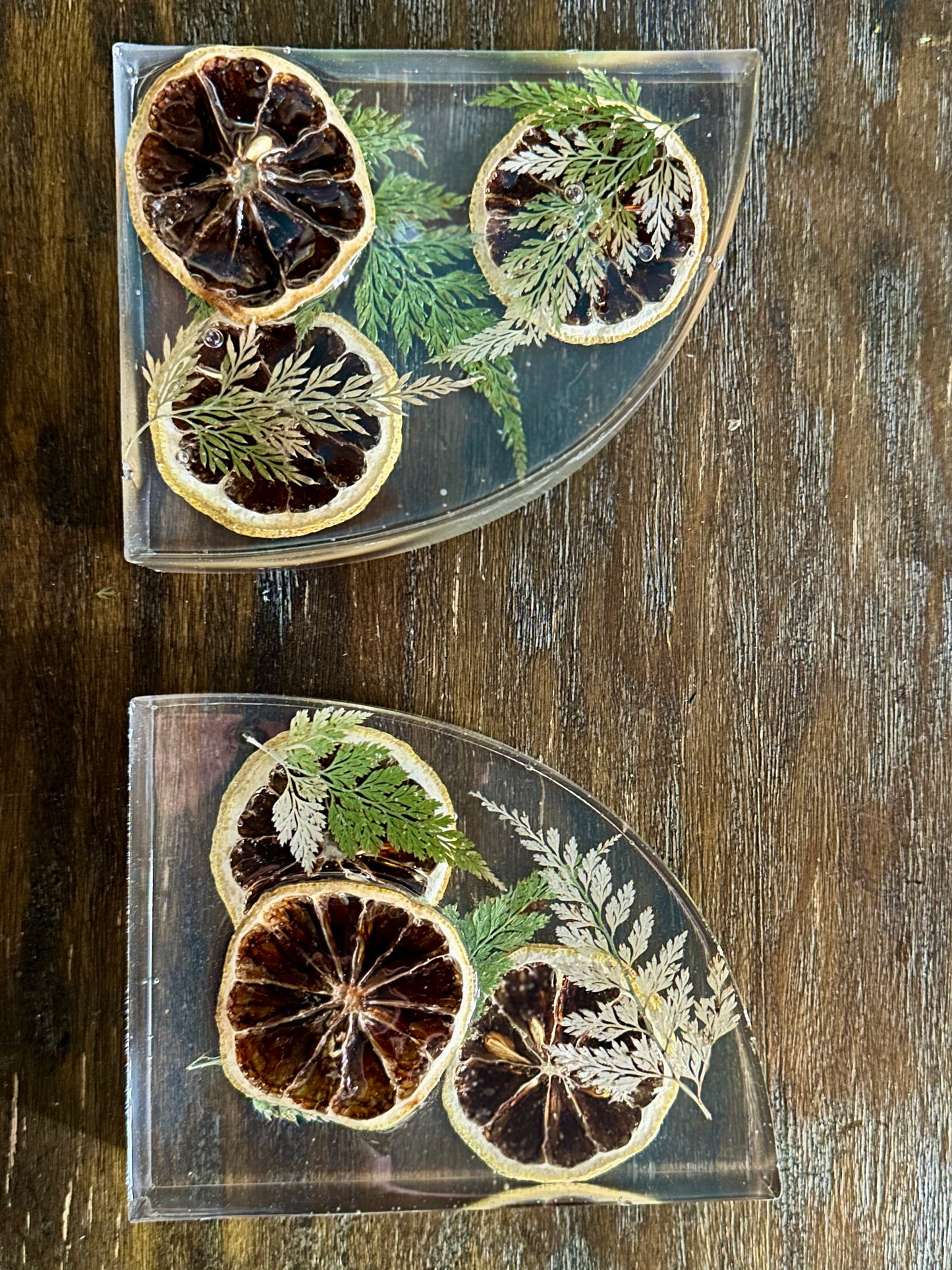 Orange slice resin bookends