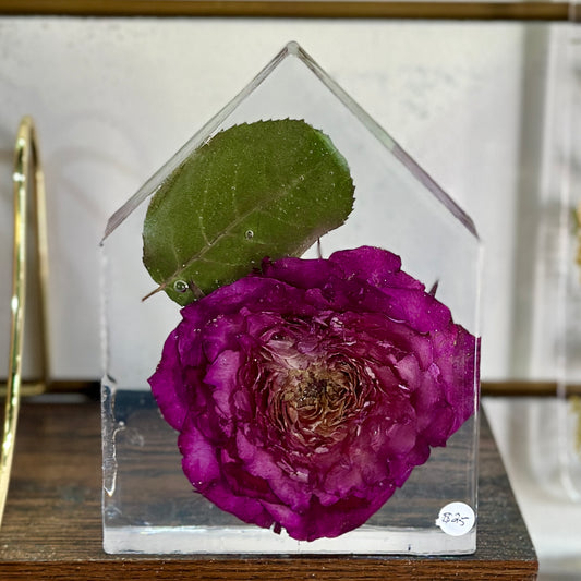 Single pink rose resin house