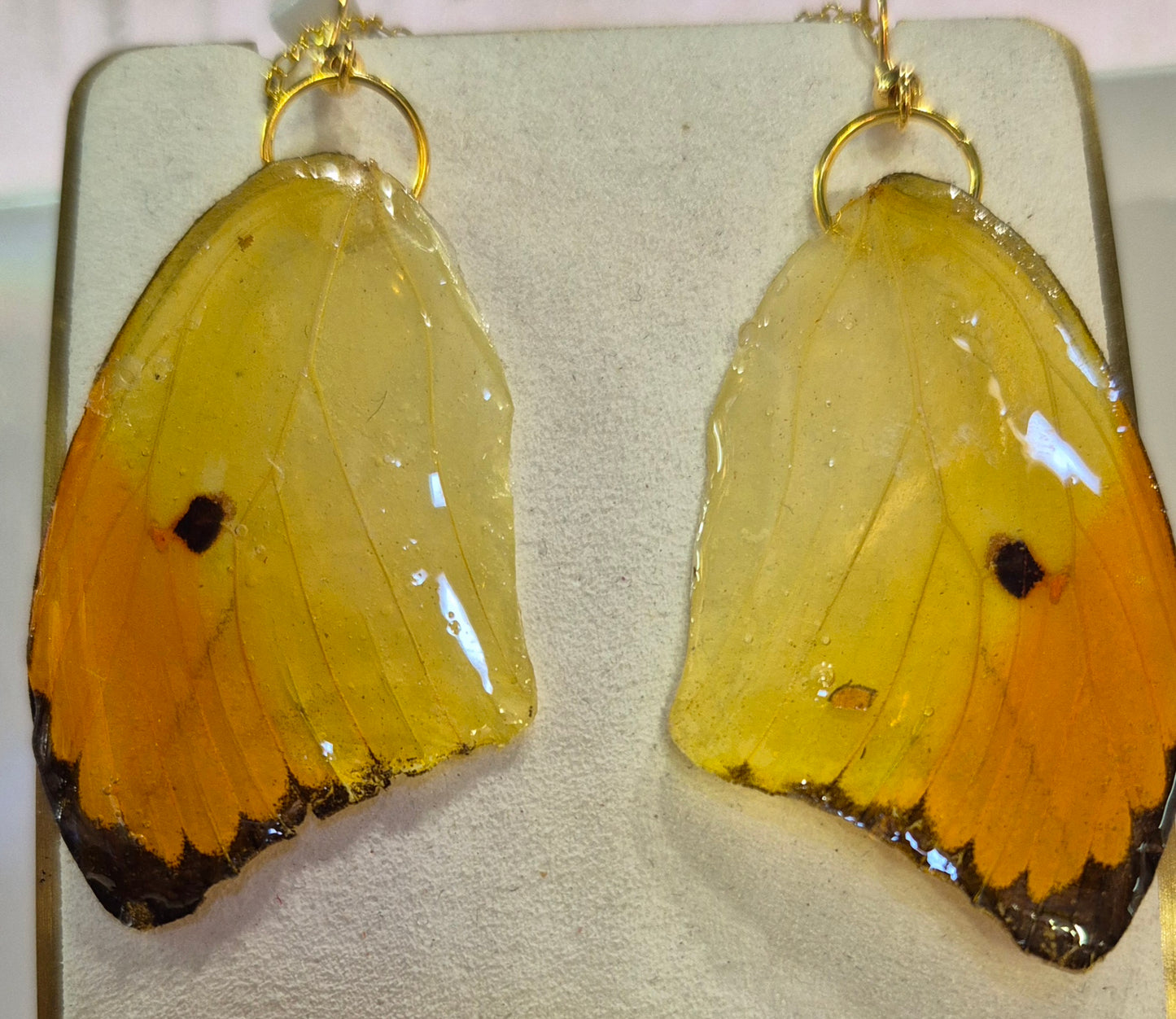 Mariposa Earrings: orange tipped yellow sulphur butterfly