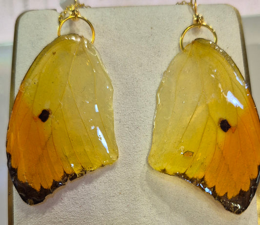 Mariposa Earrings: orange tipped yellow sulphur butterfly